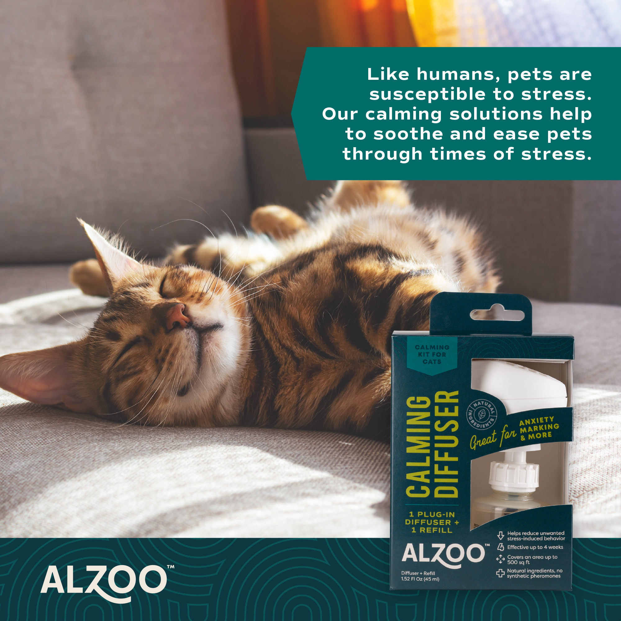 Plant-Based Calming Diffuser Kit for Cats - Image 8