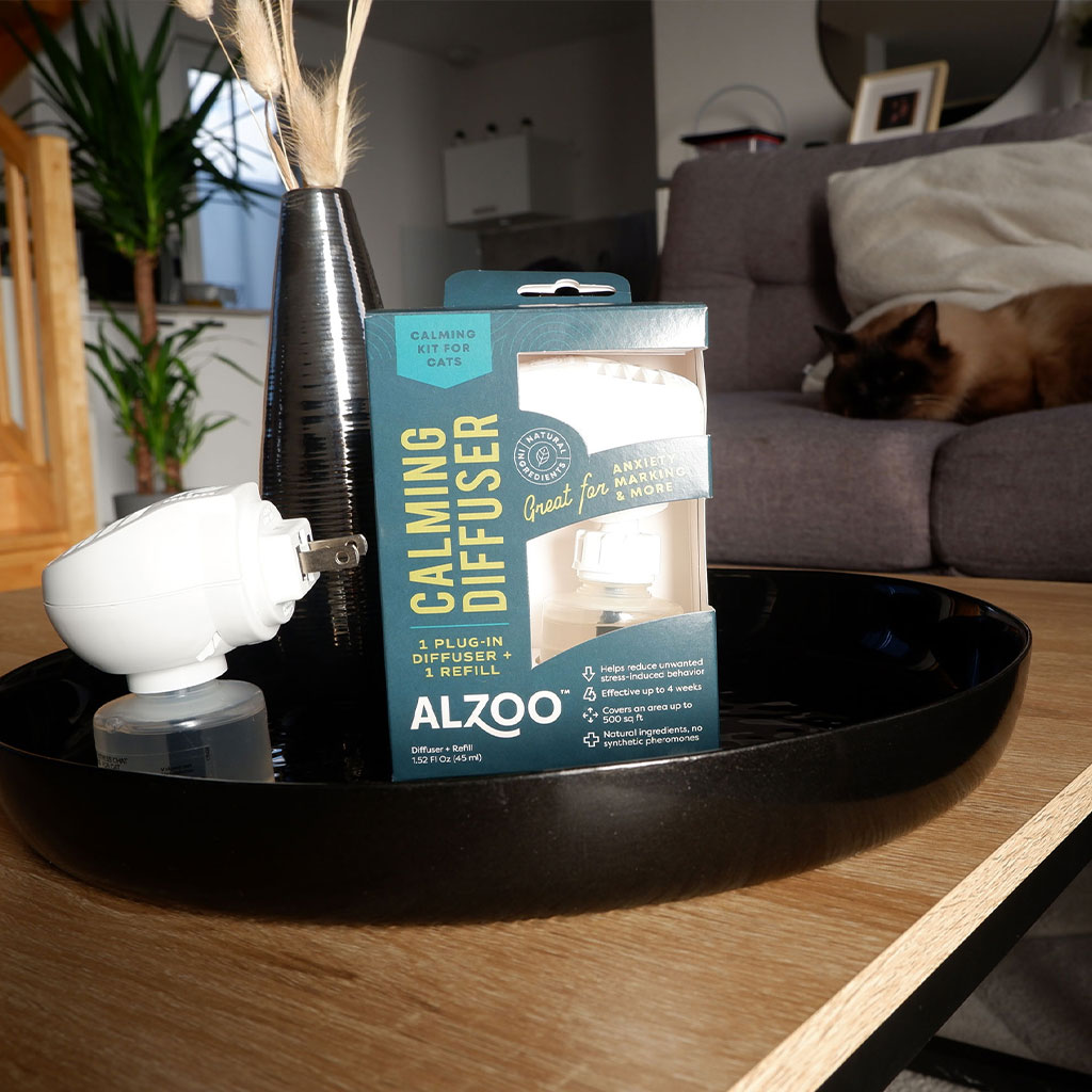 Plant-Based Calming Diffuser Kit for Cats - Image 10